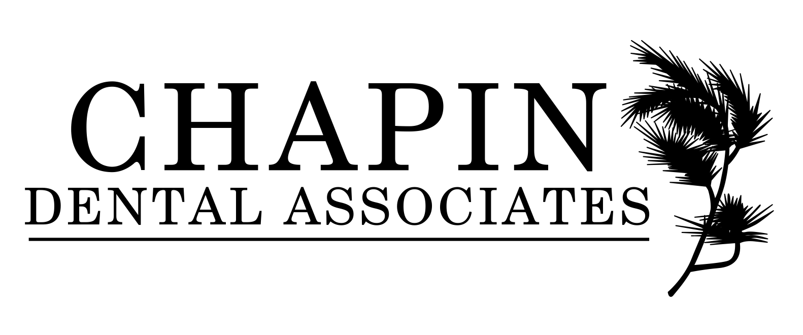 Link to Chapin Dental Associates home page